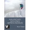Avalanchas, Nociones Imprescindibles