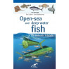 Minidesplegable Peixos Pelagics Peces Pelagicos Open-Sea Deep-Water Fish Balear