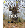 Euskal Herria Rutas Para Descubrir Árboles Monumentales