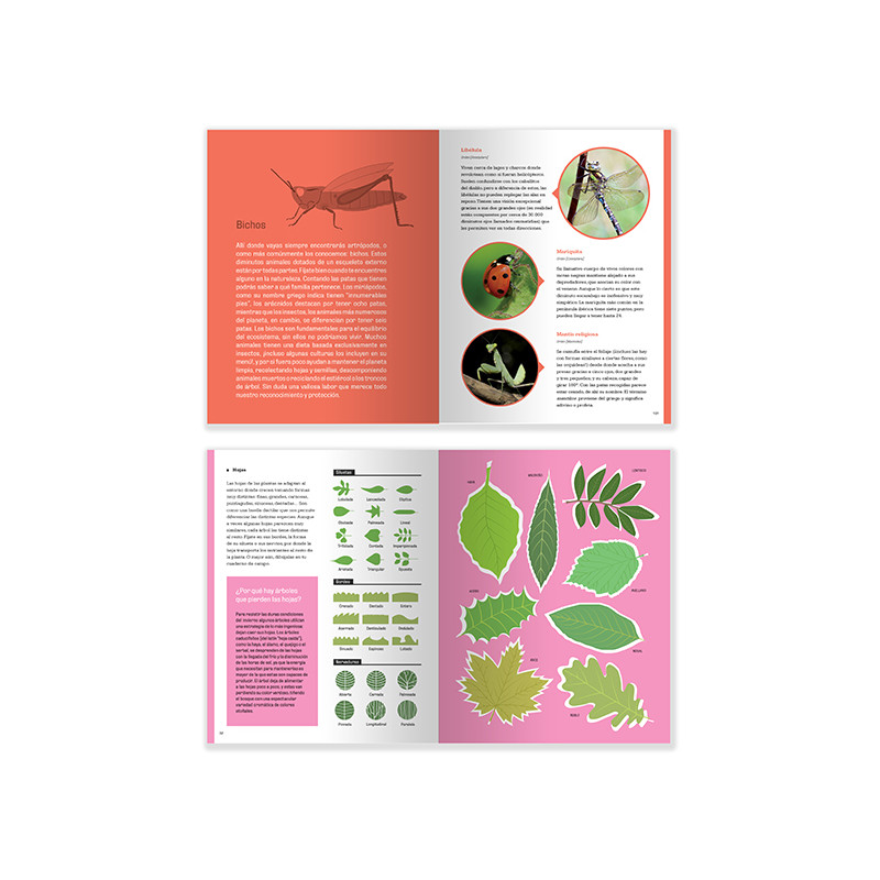 Manual Para Pequeños Montañeros
