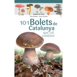 Minidesplegable Plastificat 101 Bolets de Catalunya