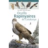 Minidesplegable Plastificat Ocells Rapinyaires de Catalunya