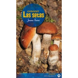 Conocer las Setas