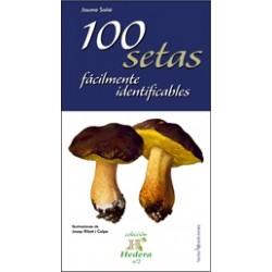 100 Setas Fácilmente Identificables