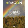 Aragón Rutas por los Bosques más Bellos