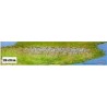 Mapa Plastificado Pirineos Vertiente Sur