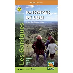 Paisatges de l'Oli A les Garrigues Altes 1:20.000