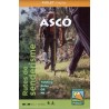 Ascó 1:20.000